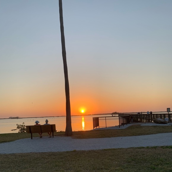 about PARROT KATIE🎀 - Picture 6 of 9